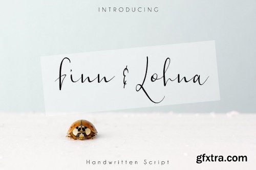 CreativeMarket 147 IN 1 Font Bundle SALE! 2261227