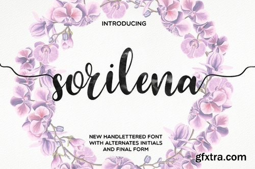 CreativeMarket 147 IN 1 Font Bundle SALE! 2261227