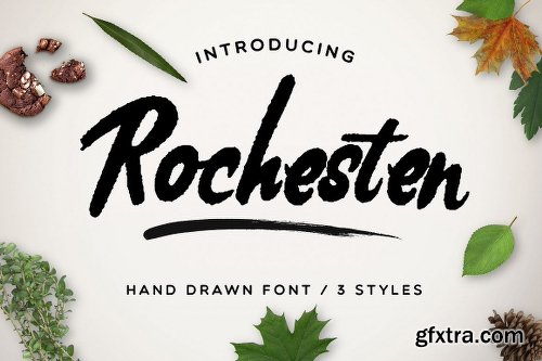 CreativeMarket 147 IN 1 Font Bundle SALE! 2261227