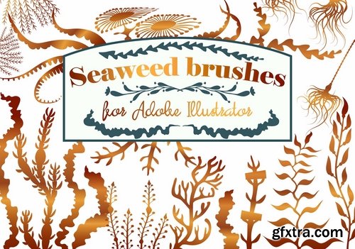 CM - Seaweed pattern brushes for AI 2235776