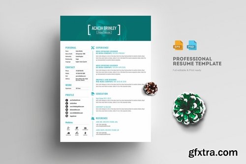 CM - Creative Clean Resume CV 2223148