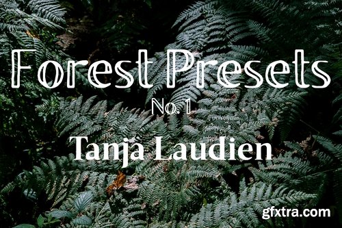 CM - Lightroom Presets - Forest No. 1 2238595