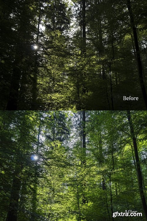 CM - Lightroom Presets - Forest No. 1 2238595