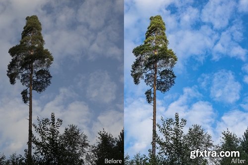 CM - Lightroom Presets - Forest No. 1 2238595