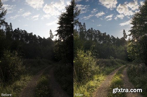 CM - Lightroom Presets - Forest No. 1 2238595