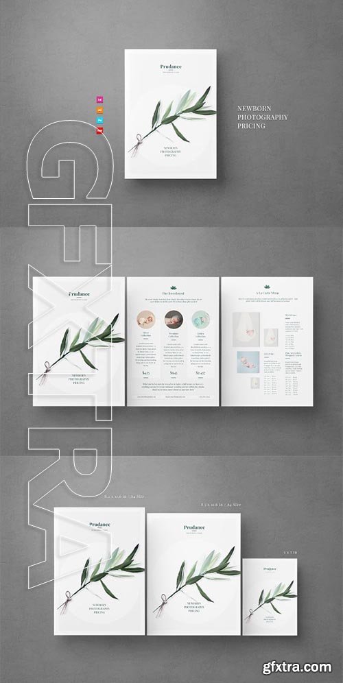 CreativeMarket - Newborn Pricing Flyer 2266037