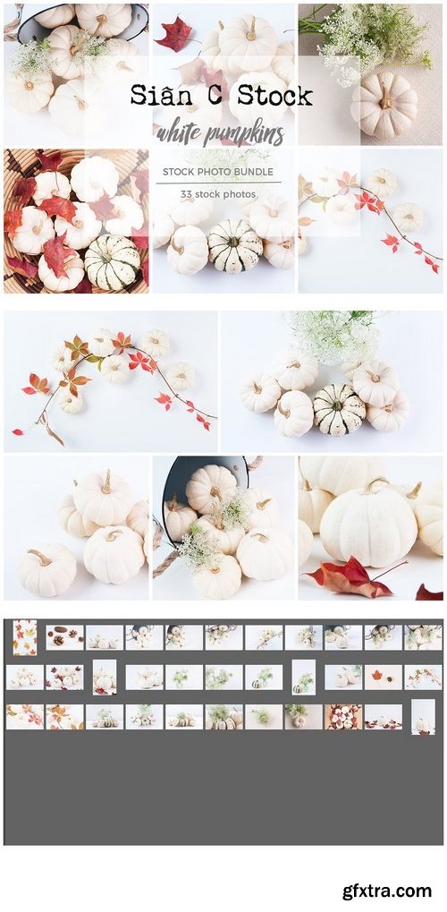 CM - White Pumpkins Stock Photo Bundle 1949337