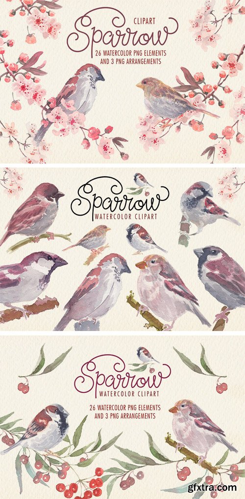 CM - Sparrow Bird Watercolor Clipart 2248520