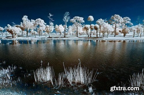 Intro to Infrared Photography