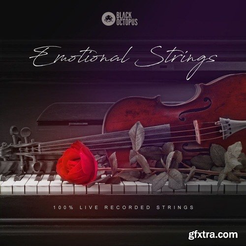 Black Octopus Sound Emotional Strings WAV-DISCOVER