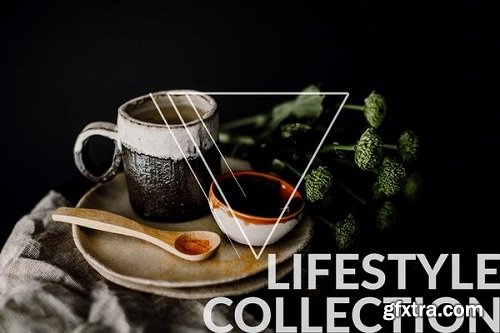 Vivid Presets - LIFESTYLE COLLECTION LR Presets