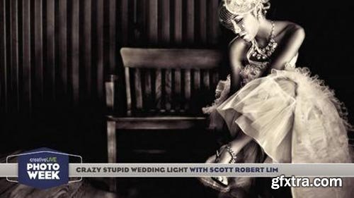 Crazy Stupid Wedding Light