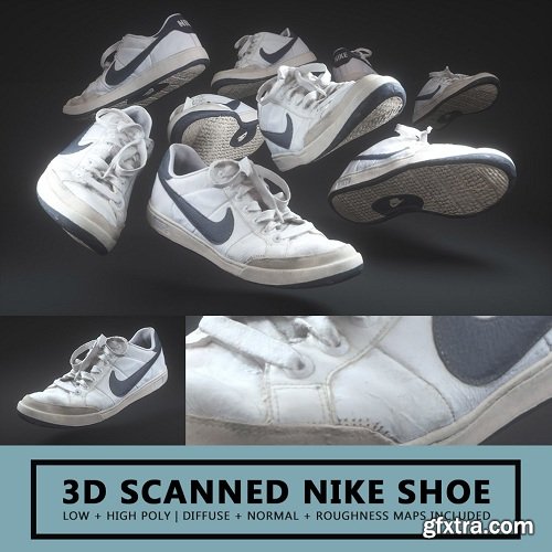 3D Scanned Nike Shoe