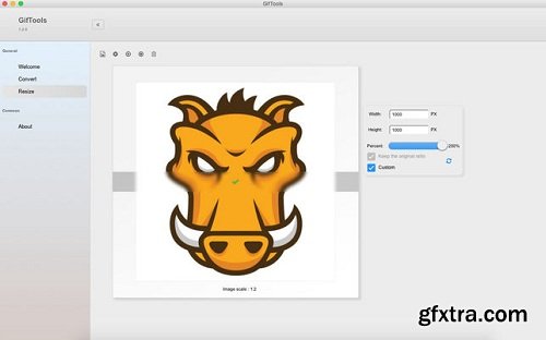 GifTools 1.3.1 (macOS)