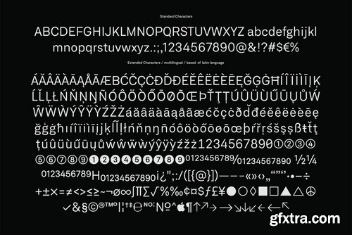 Neufile Grotesk Font Family