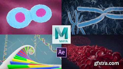 3D Medical Animation in Autodesk Maya & After Effects