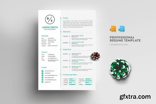 CreativeMarket Awesome Resume Template 2223143