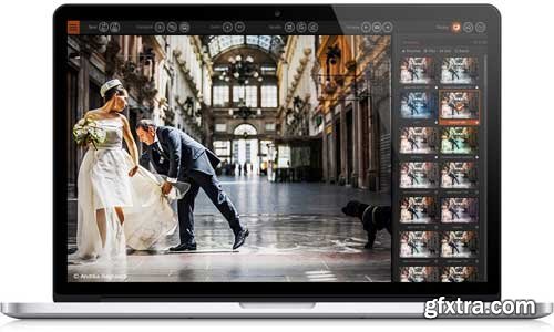 DxO FilmPack Elite 5.5.16 Build 573 (x64) Multilingual