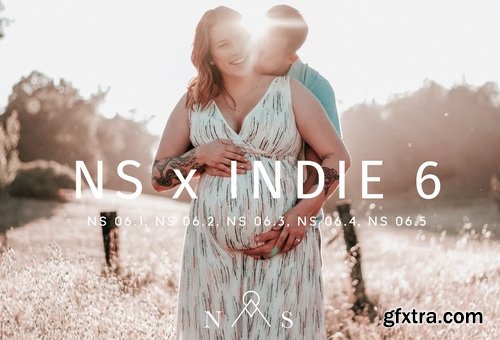 CM - NS x Indie 6 5 Presets LR 2281592