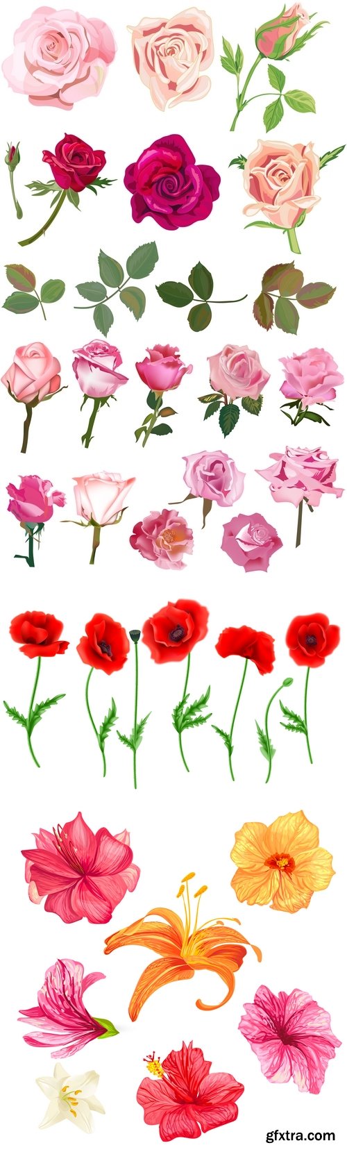 Vectors - Different Shiny Flowers Set 17