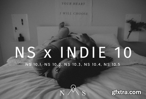 CM - NS x Indie 10  5 Presets LR 2281648