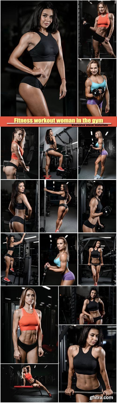 Fitness workout woman in the gym