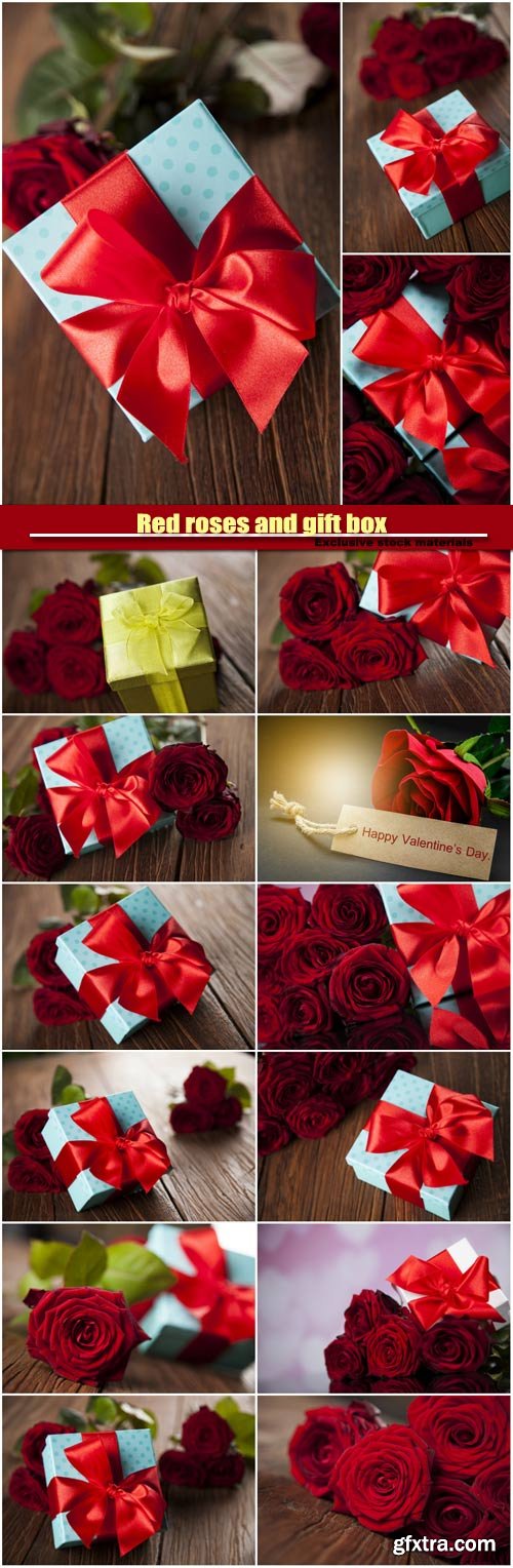 Red roses and gift box, love background