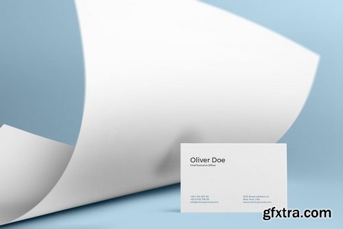 Business Cards Mockup Vol 5