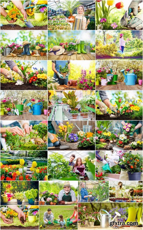 Gardening garden plants garden agriculture spring planting in the ground 25 HQ Jpeg