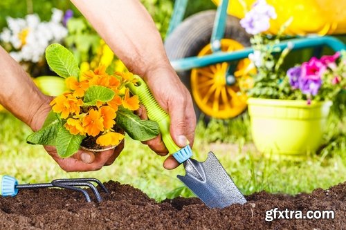 Gardening garden plants garden agriculture spring planting in the ground 25 HQ Jpeg