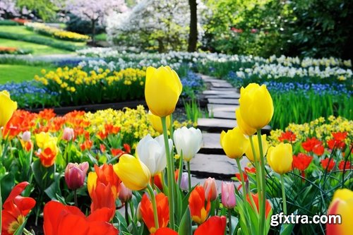 Gardening garden plants garden agriculture spring planting in the ground 25 HQ Jpeg