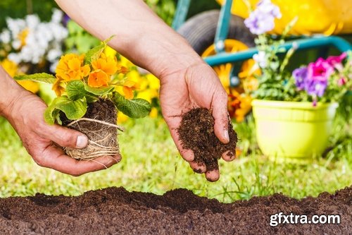 Gardening garden plants garden agriculture spring planting in the ground 25 HQ Jpeg