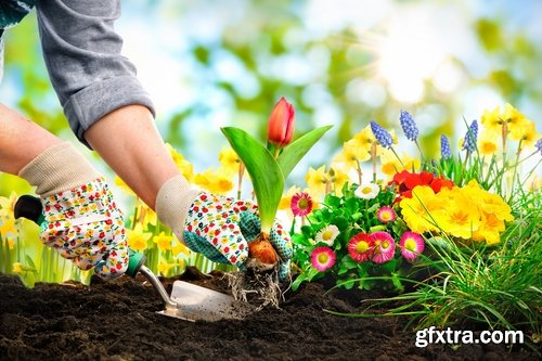 Gardening garden plants garden agriculture spring planting in the ground 25 HQ Jpeg