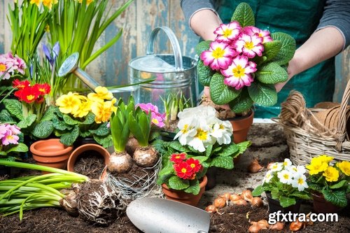 Gardening garden plants garden agriculture spring planting in the ground 25 HQ Jpeg