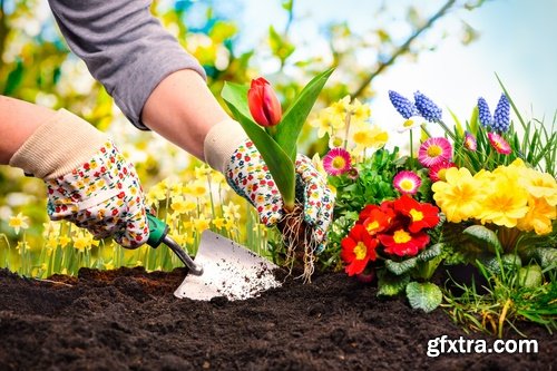 Gardening garden plants garden agriculture spring planting in the ground 25 HQ Jpeg