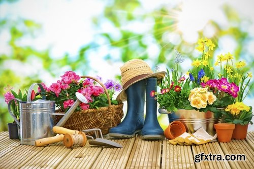 Gardening garden plants garden agriculture spring planting in the ground 25 HQ Jpeg