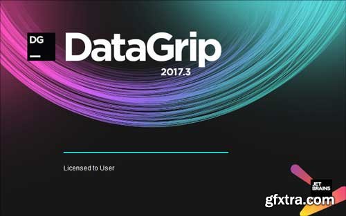 JetBrains DataGrip 2017.3.5 Build 173.4652.2