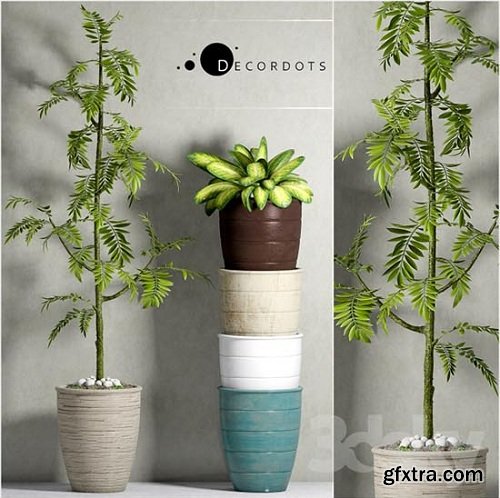 PLANTS-41 3d Models