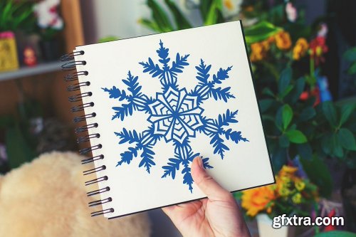 CreativeMarket 500 Snowflake Vector Ornaments 1927389