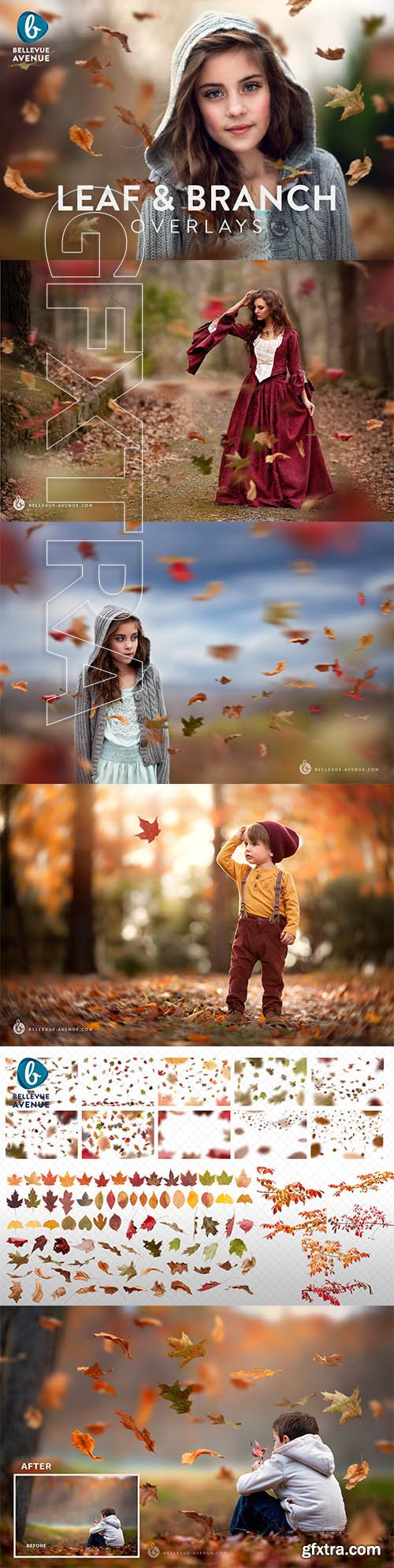 CreativeMarket - Leaf & Branch Overlays (Real) 2292617