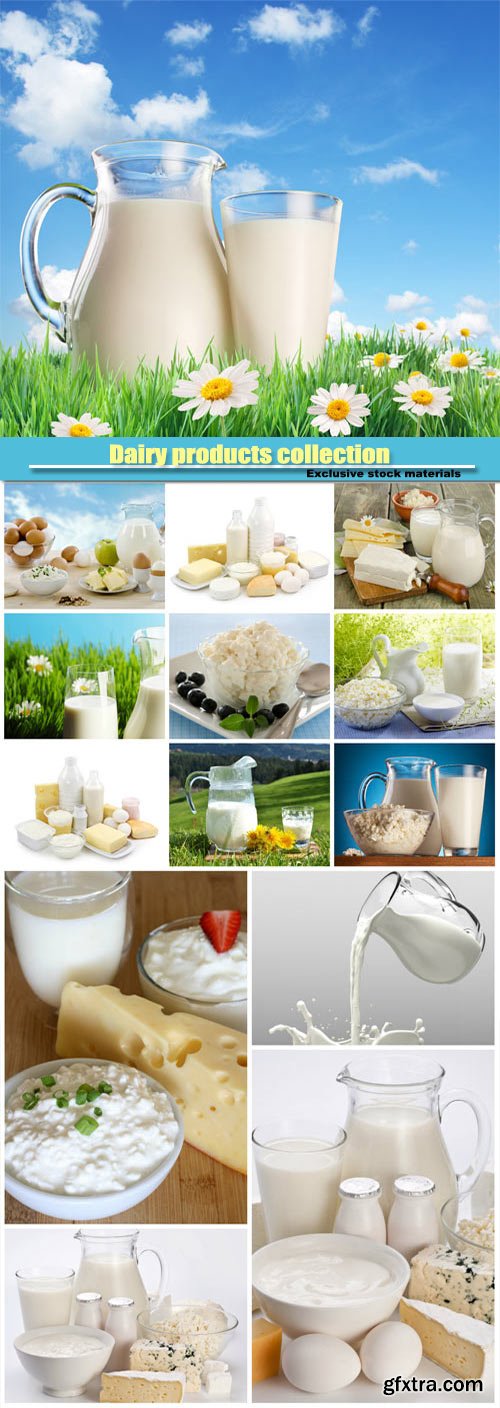 Dairy products collection