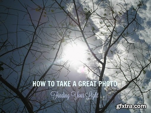 How to Take a Great Photo: Finding Your Light