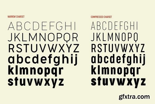 Cocogoose Narrows Font Family