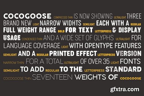 Cocogoose Narrows Font Family