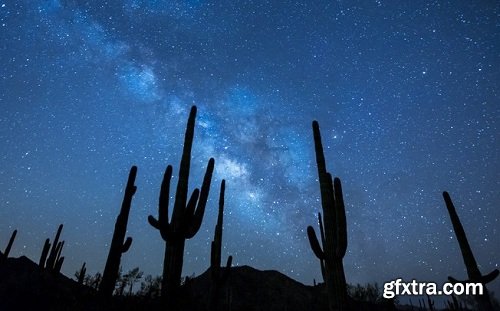 Night Photography: You Can Shoot Stunning Night Photos