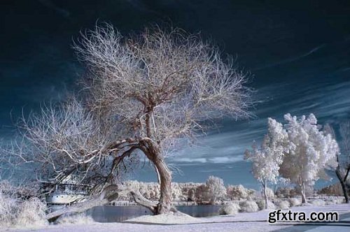 CreativeLIVE - Creative Wow: Infrared Photography by Jack Davis