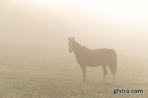 Mikko Lagerstedt - Fine Art - Fog Atmosphere Presets