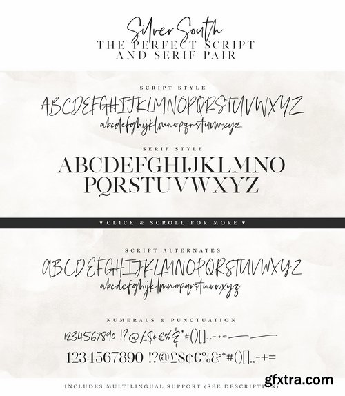 CM - Silver South Font Duo 2146988