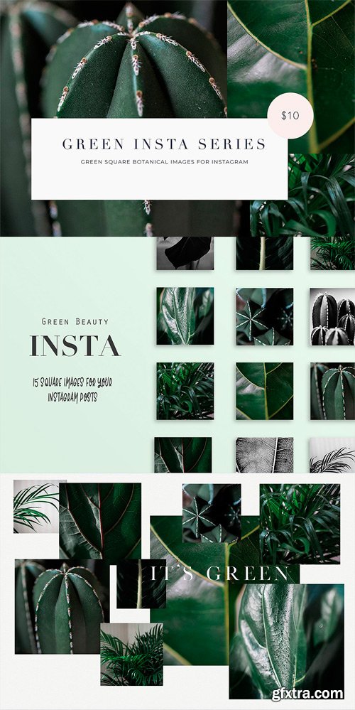 CM - 15 Green Plant Insta Square Photos