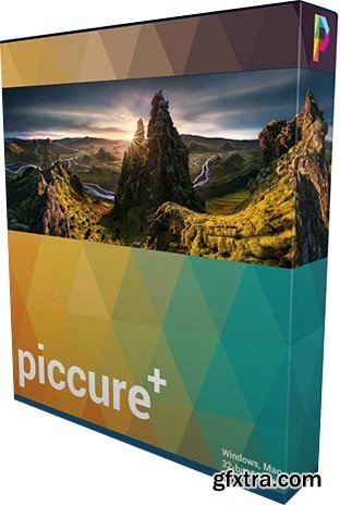 Piccure Plus 3.0.0.29 Stand-Alone Portable